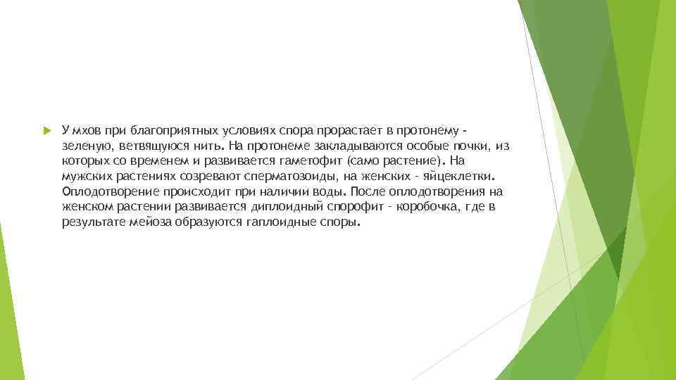  У мхов при благоприятных условиях спора прорастает в протонему зеленую, ветвящуюся нить. На