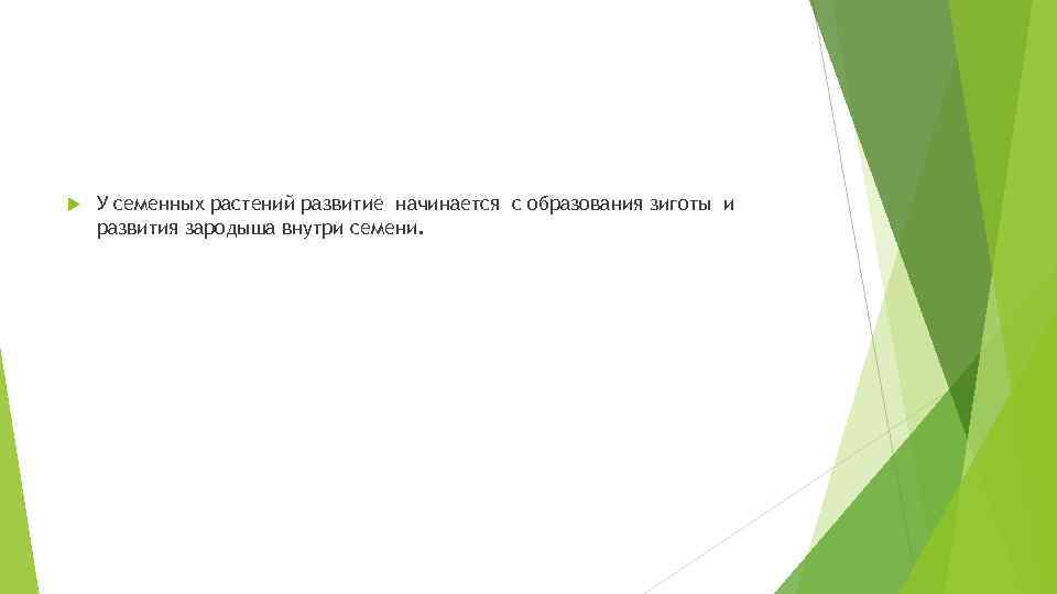  У семенных растений развитие начинается с образования зиготы и развития зародыша внутри семени.