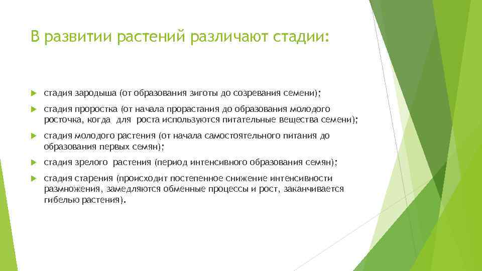 В развитии растений различают стадии: стадия зародыша (от образования зиготы до созревания семени); стадия