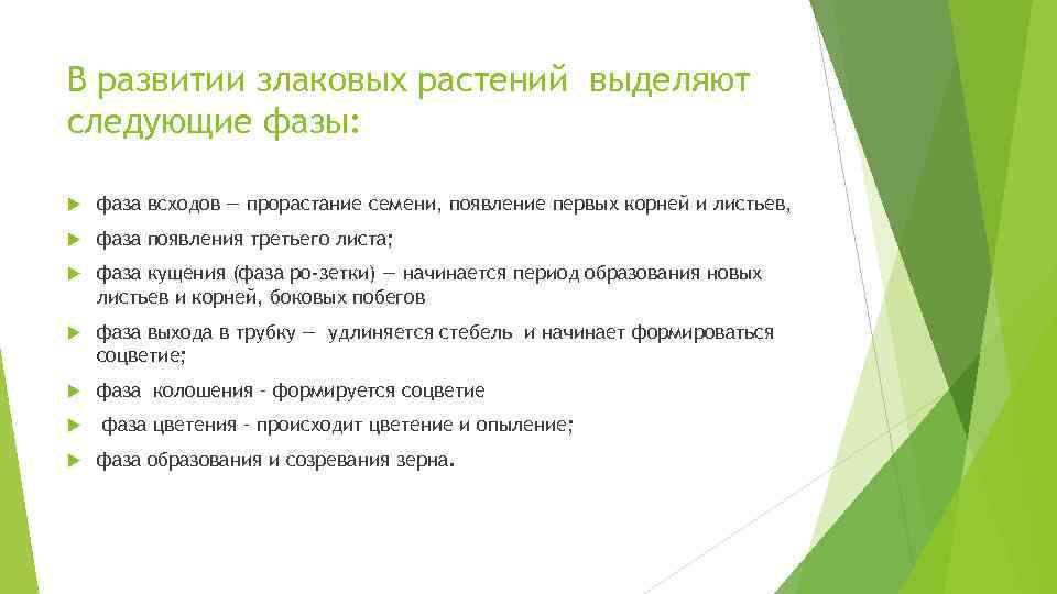 В развитии злаковых растений выделяют следующие фазы: фаза всходов — прорастание семени, появление первых