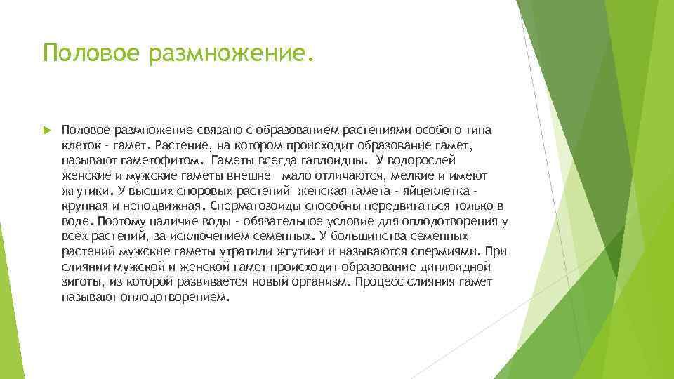 Половое размножение связано с образованием растениями особого типа клеток – гамет. Растение, на котором