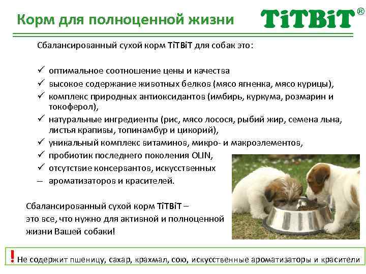 Корм для полноценной жизни Сбалансированный сухой корм Ti. TBi. T для собак это: ü