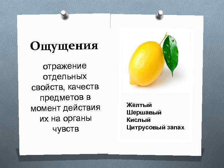 Ощущения отражение отдельных свойств, качеств предметов в момент действия их на органы чувств Желтый