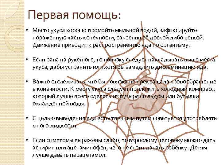 Первая помощь: • Место укуса хорошо промойте мыльной водой, зафиксируйте пораженную часть конечности, закрепив