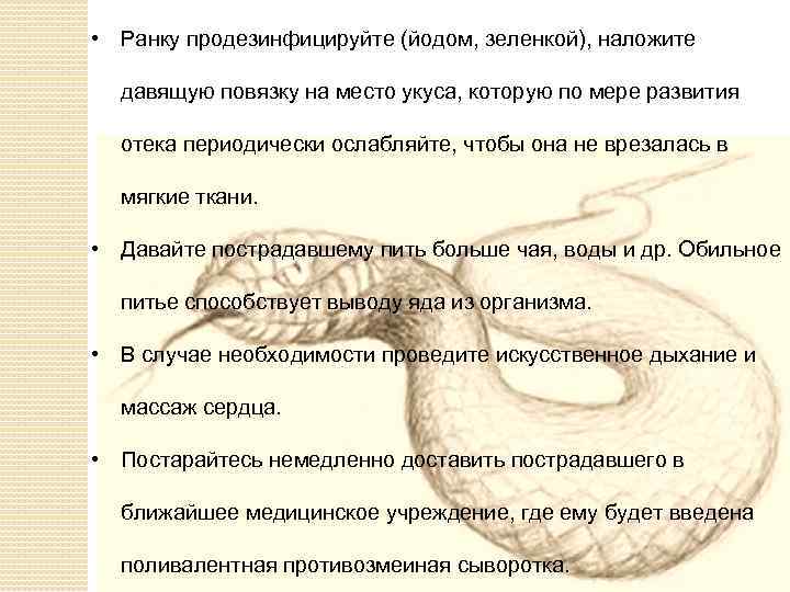  • Ранку продезинфицируйте (йодом, зеленкой), наложите давящую повязку на место укуса, которую по