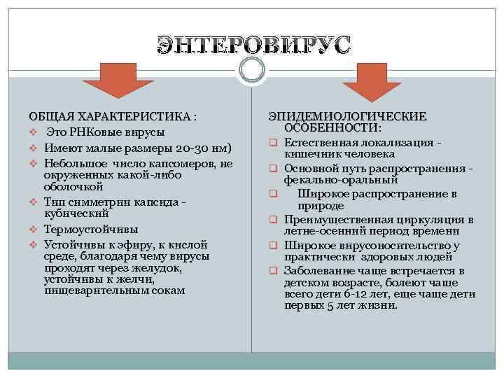 ЭНТЕРОВИРУС ОБЩАЯ ХАРАКТЕРИСТИКА : ОБЩАЯ ХАРАКТЕРИСТИКА v Это РНКовые вирусы v Имеют малые размеры