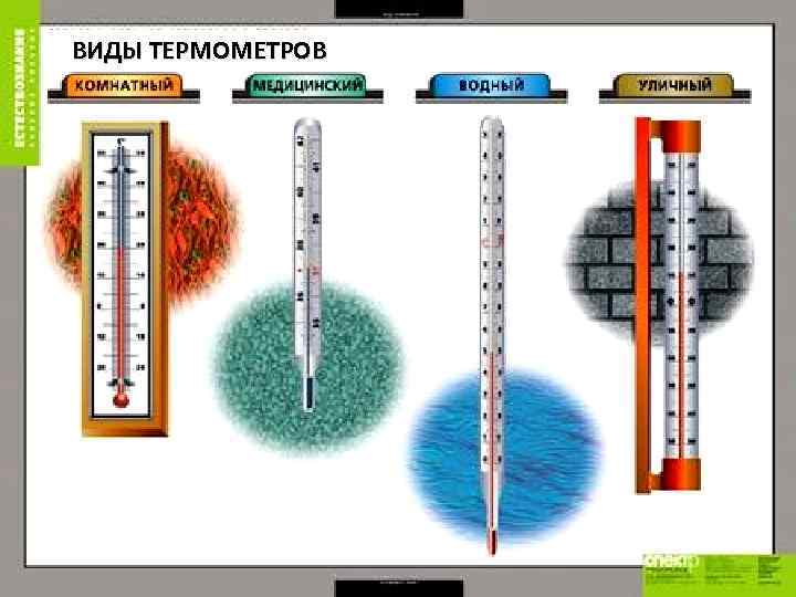 ВИДЫ ТЕРМОМЕТРОВ 