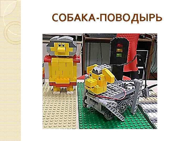 СОБАКА-ПОВОДЫРЬ 