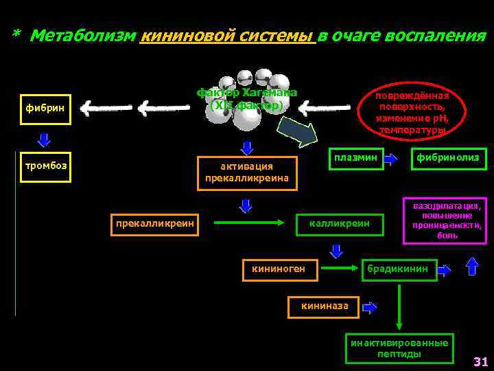 * Метаболизм кининовой системы в очаге воспаления фактор Хагемана (XII фактор) фибрин тромбоз повреждённая