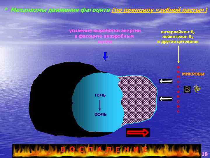 * Механизмы движения фагоцита (по принципу «зубной пасты» ) усиление выработки энергии в фагоците