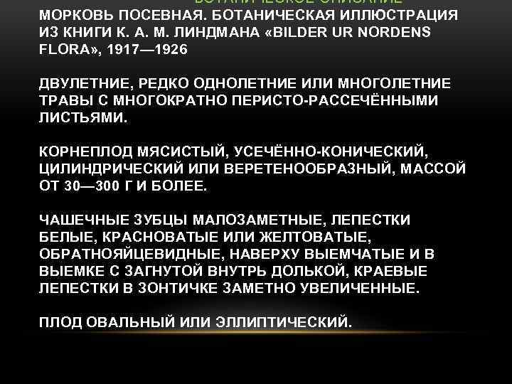 БОТАНИЧЕСКОЕ ОПИСАНИЕ МОРКОВЬ ПОСЕВНАЯ. БОТАНИЧЕСКАЯ ИЛЛЮСТРАЦИЯ ИЗ КНИГИ К. А. М. ЛИНДМАНА «BILDER UR