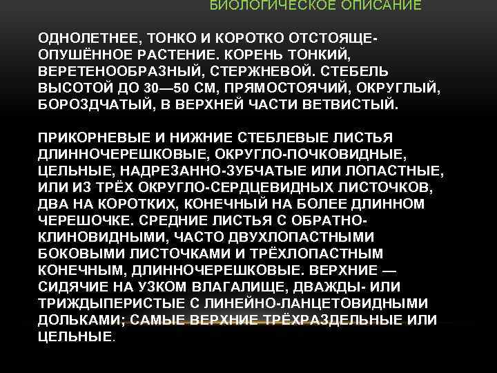 БИОЛОГИЧЕСКОЕ ОПИСАНИЕ ОДНОЛЕТНЕЕ, ТОНКО И КОРОТКО ОТСТОЯЩЕОПУШЁННОЕ РАСТЕНИЕ. КОРЕНЬ ТОНКИЙ, ВЕРЕТЕНООБРАЗНЫЙ, СТЕРЖНЕВОЙ. СТЕБЕЛЬ ВЫСОТОЙ