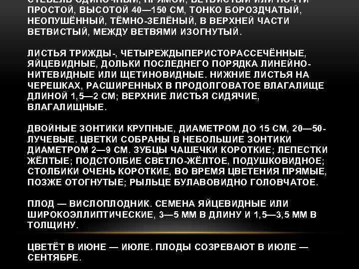 СТЕБЕЛЬ ОДИНОЧНЫЙ, ПРЯМОЙ, ВЕТВИСТЫЙ ИЛИ ПОЧТИ ПРОСТОЙ, ВЫСОТОЙ 40— 150 СМ, ТОНКО БОРОЗДЧАТЫЙ, НЕОПУШЁННЫЙ,