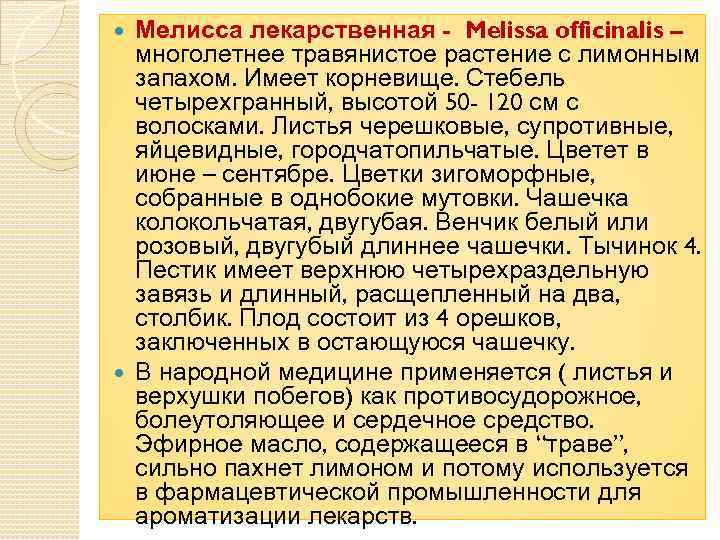 Мелисса лекарственная - Melissa officinalis – многолетнее травянистое растение с лимонным запахом. Имеет корневище.