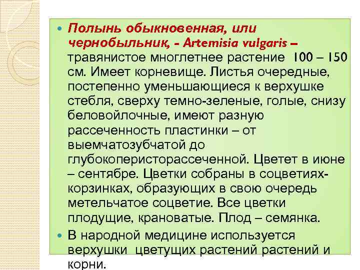 Полынь обыкновенная, или чернобыльник, - Artemisia vulgaris – травянистое многлетнее растение 100 – 150