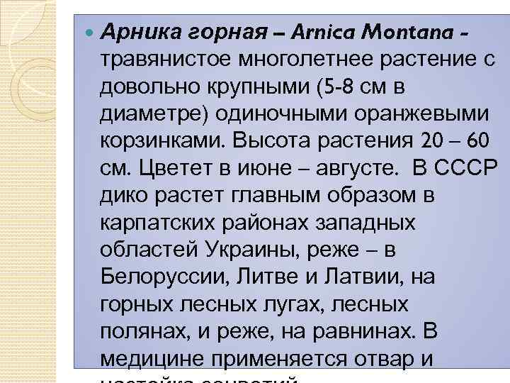  Арника горная – Arnica Montana травянистое многолетнее растение с довольно крупными (5 -8