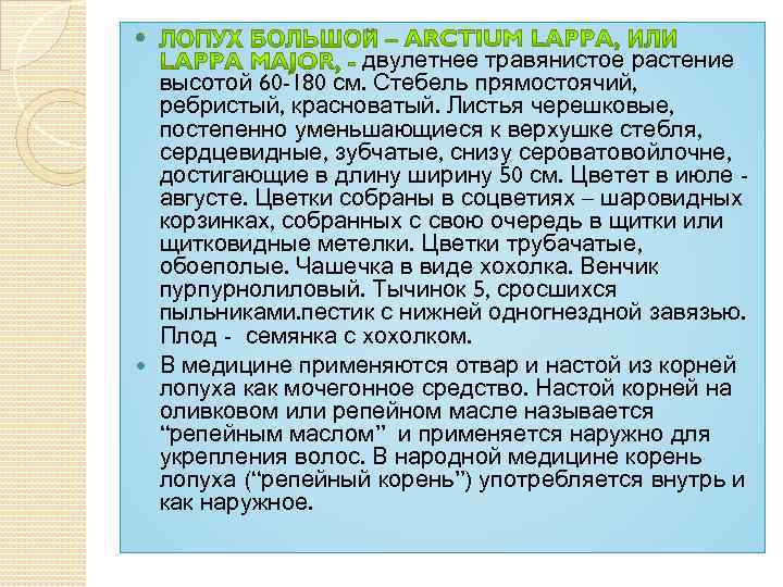  двулетнее травянистое растение высотой 60 -180 см. Стебель прямостоячий, ребристый, красноватый. Листья черешковые,