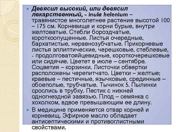 Девясил высокий, или девясил лекарственный, - inula helenium – травянистое многолетнее растение высотой 100