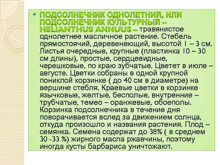  травянистое однолетнее масличное растение. Стебель прямостоячий, деревенеющий, высотой 1 – 3 см. Листья