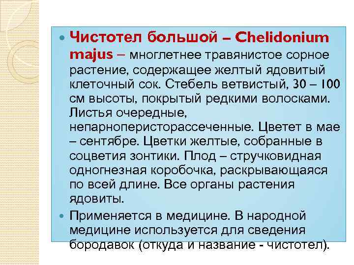  Чистотел большой – Chelidonium majus – многлетнее травянистое сорное растение, содержащее желтый ядовитый