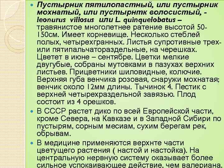 Пустырник пятилопастный, или пустырник мохнатый, или пустырнтк волосистый, leonurus villosus или L. quinquelobatus –