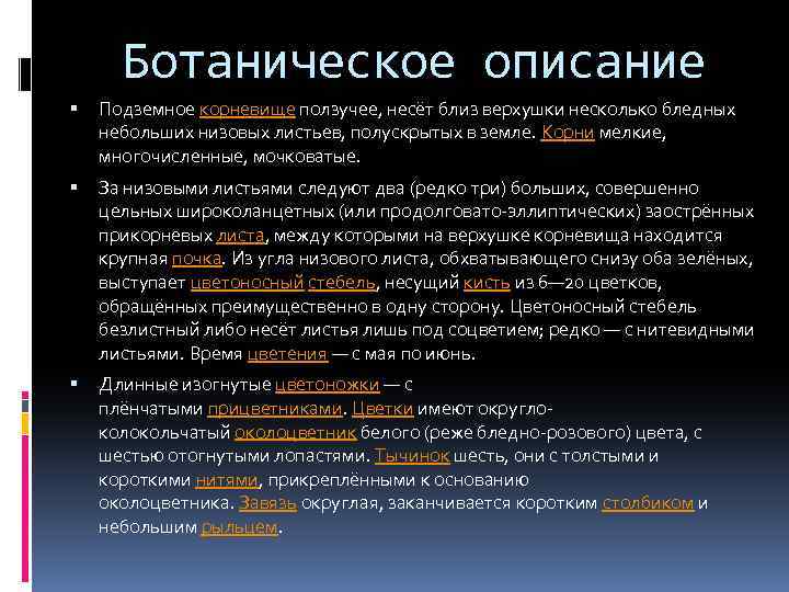 Ботаническое описание Подземное корневище ползучее, несёт близ верхушки несколько бледных небольших низовых листьев, полускрытых