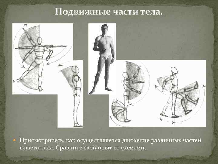 Подвижные части тела. Присмотритесь, как осуществляется движение различных частей вашего тела. Сравните свой опыт