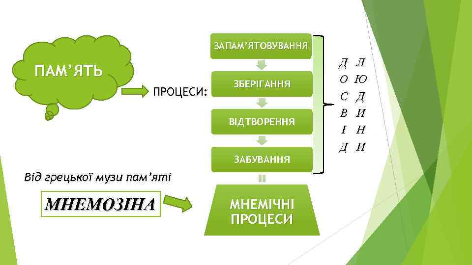ЗАПАМ’ЯТОВУВАННЯ ПАМ’ЯТЬ ПРОЦЕСИ: ЗБЕРІГАННЯ ВІДТВОРЕННЯ ЗАБУВАННЯ Від грецької музи пам’яті МНЕМОЗІНА МНЕМІЧНІ ПРОЦЕСИ Д