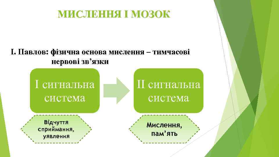 МИСЛЕННЯ І МОЗОК І. Павлов: фізична основа мислення – тимчасові нервові зв’язки I сигнальна