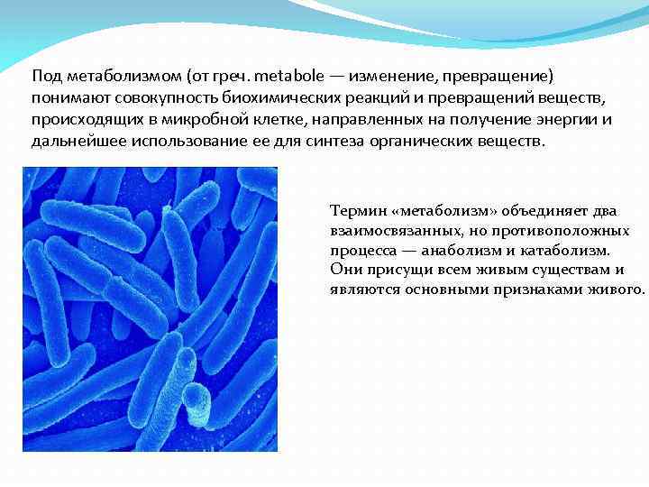 Под метаболизмом (от греч. metabole — изменение, превращение) понимают совокупность биохимических реакций и превращений