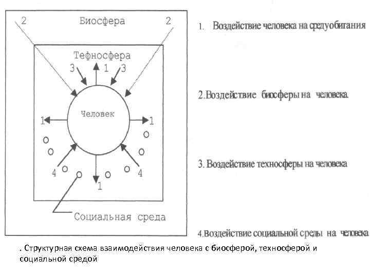 . Структурная схема взаимодействия человека с биосферой, техносферой и социальной средой 