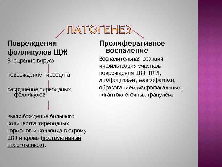 Повреждения фолликулов ЩЖ Внедрение вируса повреждение тиреоцита разрушение тиреоидных фолликулов высвобождение большого количества тиреоидных