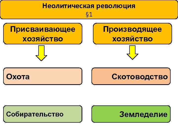 Неолитическая революция § 1 Присваивающее хозяйство Охота Собирательство Производящее хозяйство Скотоводство Земледелие 