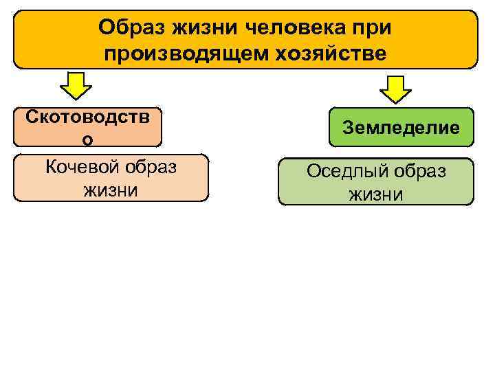 Неолитическая революция присваивающее хозяйство