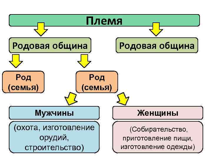 Дополни схему род община