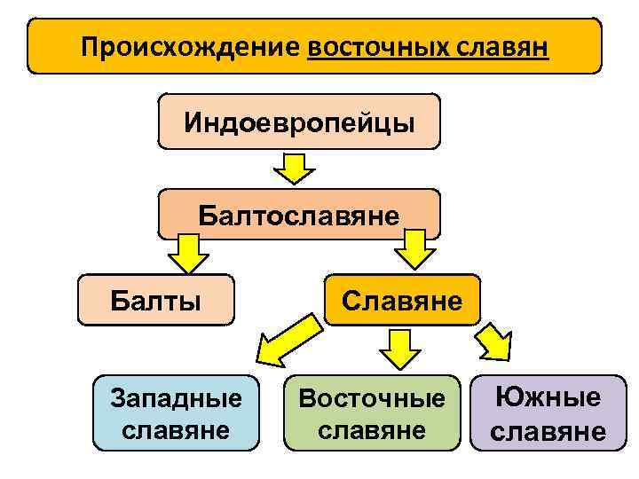 Происхождение восточных славян Индоевропейцы Балтославяне Балты Западные славяне Славяне Восточные славяне Южные славяне 