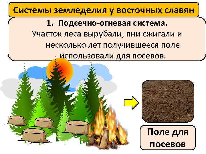 Системы земледелия у восточных славян 1. Подсечно-огневая система. Участок леса вырубали, пни сжигали и