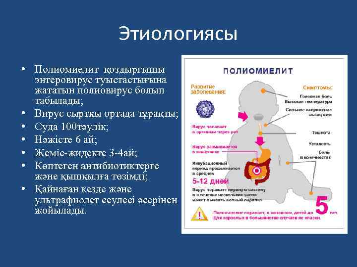 Этиологиясы • Полиомиелит қоздырғышы энтеровирус туыстастығына жататын полиовирус болып табылады; • Вирус сыртқы ортада