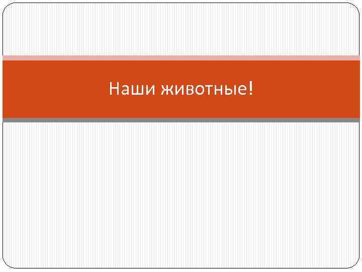 Наши животные! 
