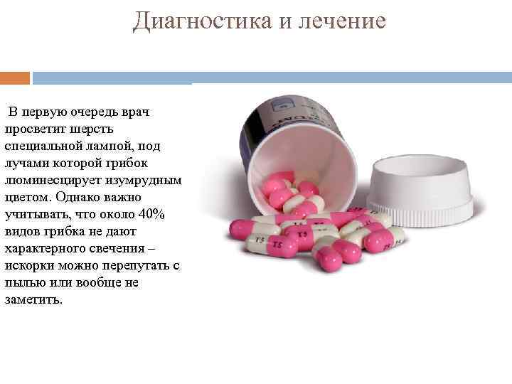  Диагностика и лечение В первую очередь врач просветит шерсть специальной лампой, под лучами