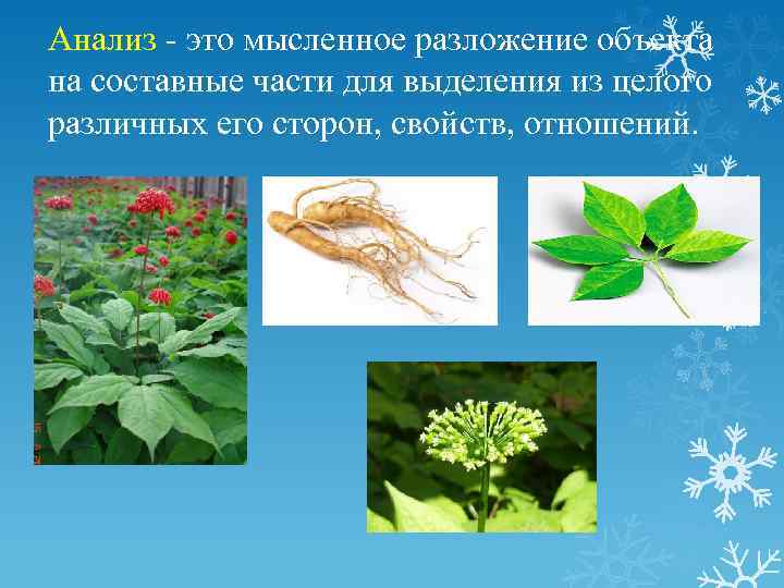 Анализ - это мысленное разложение объекта на составные части для выделения из целого различных