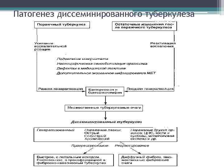 Туберкулез патогенез