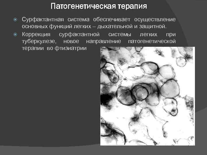 Патогенетическая терапия Сурфактантная система обеспечивает осуществление основных функций легких – дыхательной и защитной. Коррекция