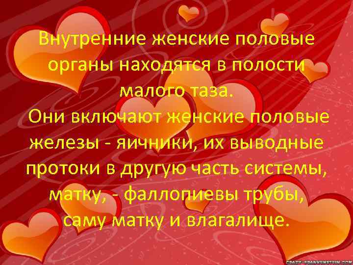 Внутренние женские половые органы находятся в полости малого таза. Они включают женские половые железы