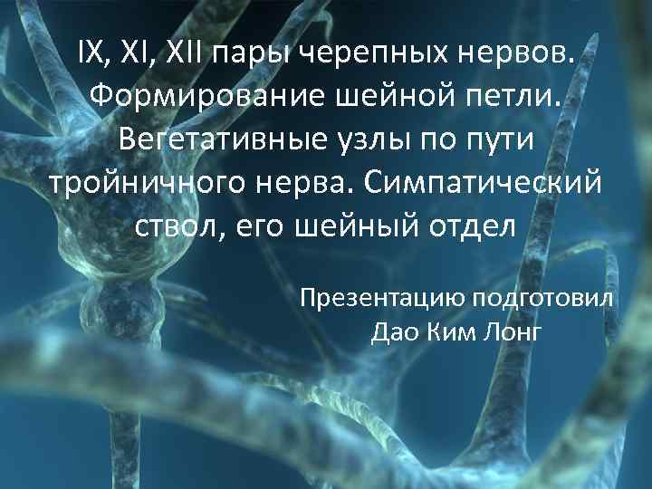 IX, XII пары черепных нервов. Формирование шейной петли. Вегетативные узлы по пути тройничного нерва.