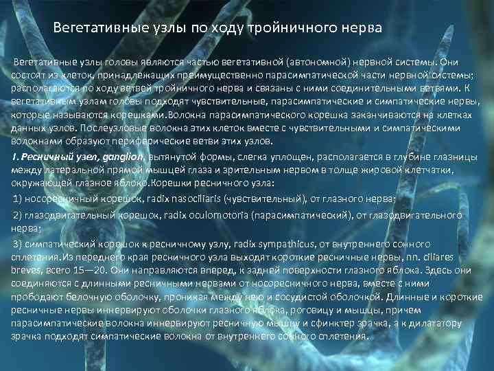  Вегетативные узлы по ходу тройничного нерва Вегетативные узлы головы являются частью вегетативной (автономной)