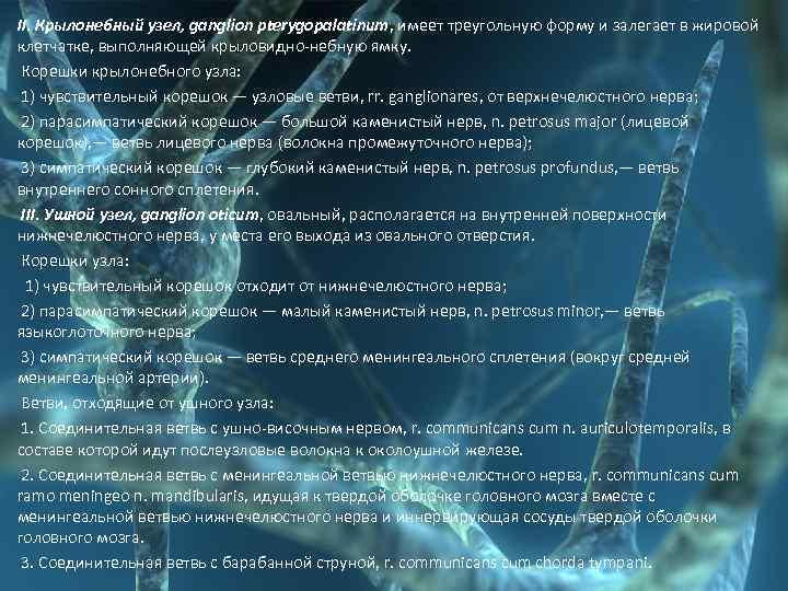 II. Крылонебный узел, ganglion pterygopalatinum, имеет треугольную форму и залегает в жировой клетчатке, выполняющей