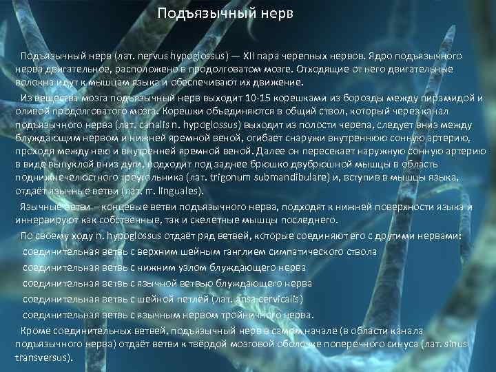  Подъязычный нерв (лат. nervus hypoglossus) — XII пара черепных нервов. Ядро подъязычного нерва