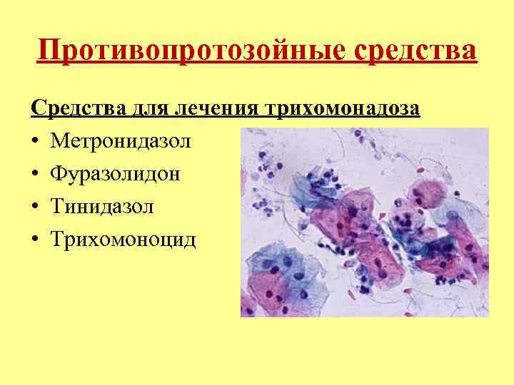 Противопротозойные средства Средства для лечения трихомонадоза • Метронидазол • Фуразолидон • Тинидазол • Трихомоноцид