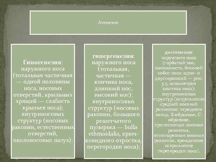 Агенезия Гипогенезия: наружного носа (тотальная частичная — одной половины носа, носовых отверстий, крыльных хрящей